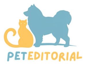 goDog Dinos Triceratops Review: Durable Plush Toy for Light-to-Moderate Chewers