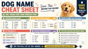 Dog Names for 2026: The Best Names for Your New Puppy or Rescue