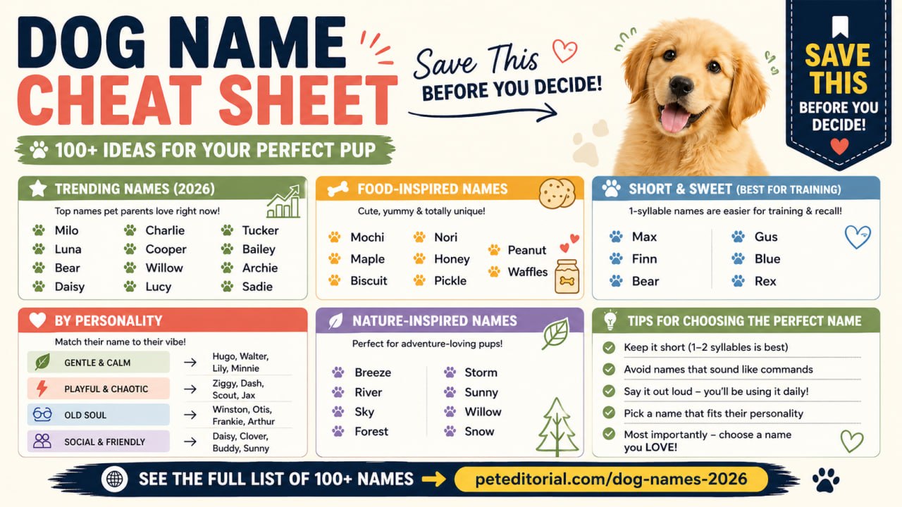 Dog Names for 2026: The Best Names for Your New Puppy or Rescue ...