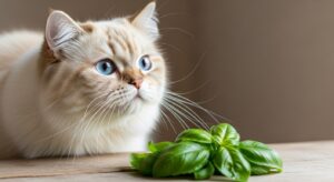 Orange tabby cat sniffing fresh green basil leaves on a kitchen counter