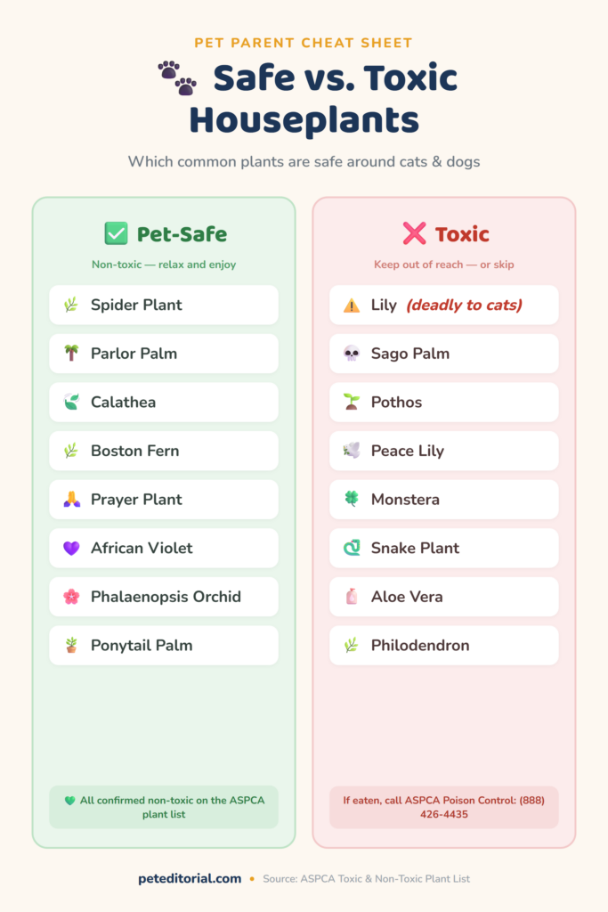 Chart comparing pet-safe and toxic houseplants for cats and dogs
