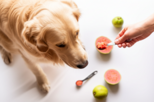 Can Dogs Eat Guava? A Complete Safety Guide