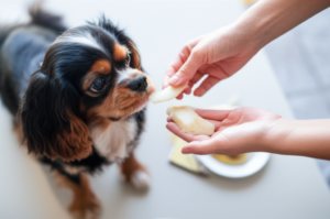 Can Dogs Eat Pears? A Complete Safety Guide